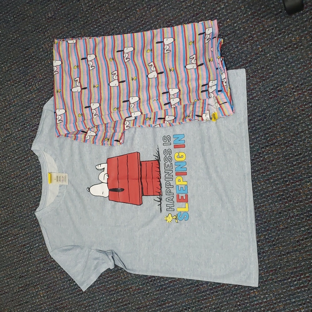 Peanuts Light Blue & Multicolor Women's Pajama Set NWT Large